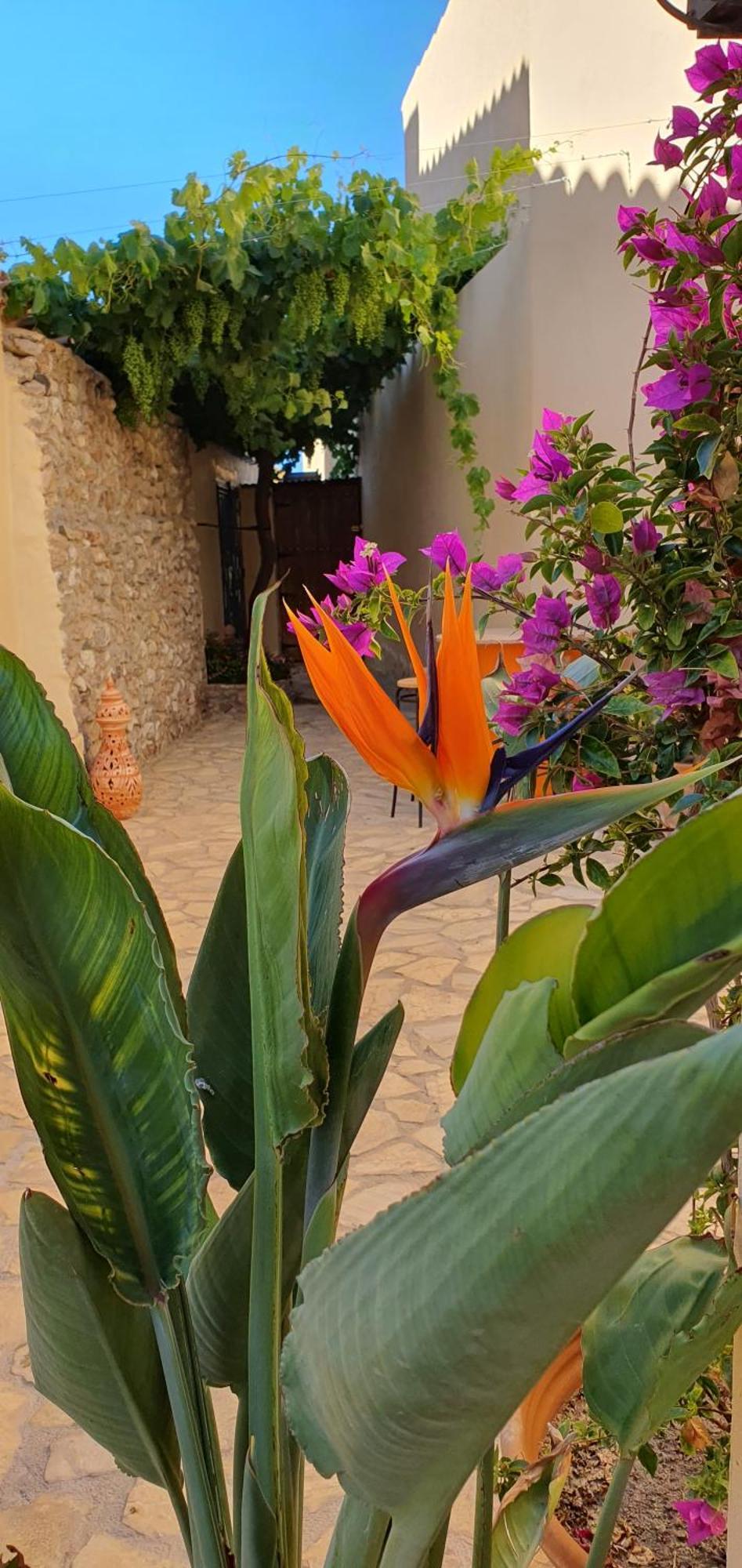 El Jardin Secreto Lejlighed Oria Eksteriør billede